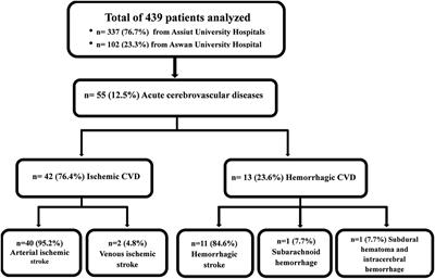 Clinical and Radiological Characteristics of Acute Cerebrovascular Diseases Among Egyptian Patients With COVID-19 in Upper Egypt